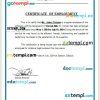 Djibouti 2M Dental Clinic certificate of employment Word and PDF download template