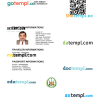 Djiboutian e-visa Word and PDF example, fully editable