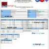 Dr. Reddy's Laboratories Limited pay stub example in PDF and Word format