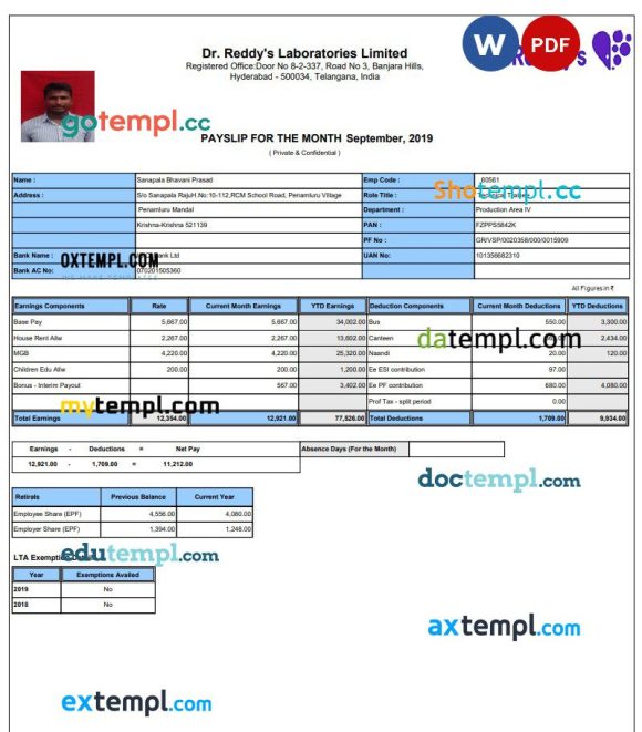 Dr. Reddy's Laboratories Limited pay stub example in PDF and Word format