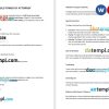 Durable Power of Attorney Form example, fully editable