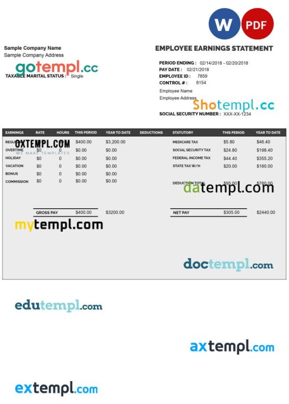 EMPLOYEE earnings statement example Word and PDF format
