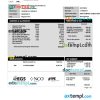 EXPERT GLOBAL SOLUTIONS COMPANY pay stub example in PDF and Word format