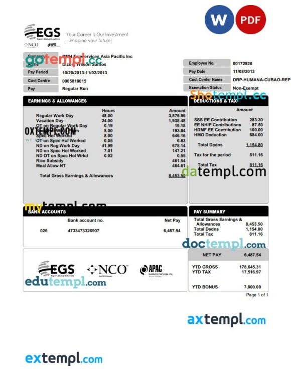 EXPERT GLOBAL SOLUTIONS COMPANY pay stub example in PDF and Word format