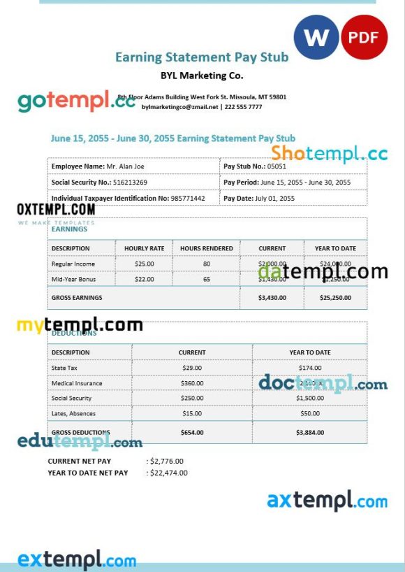 BYL Marketing Co. earnings statement Word and PDF example
