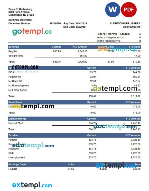 Current YTD Amount earnings statement Word and PDF example