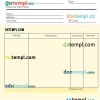Editable Commercial Sales Invoice example in word and pdf format