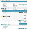 Educational consultant invoice example in word and pdf format