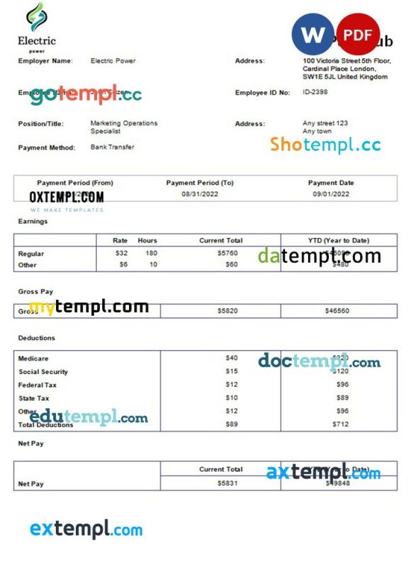 Electric power pay stub example in Word and PDF formats