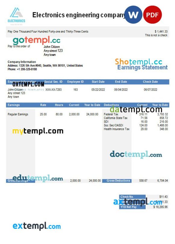 Electronics engineering company earning statement in Word and PDF formats