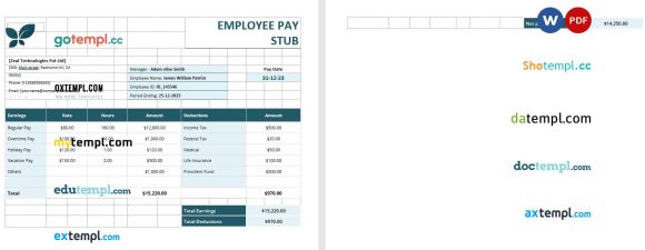 Employee pay stub Word and PDF example