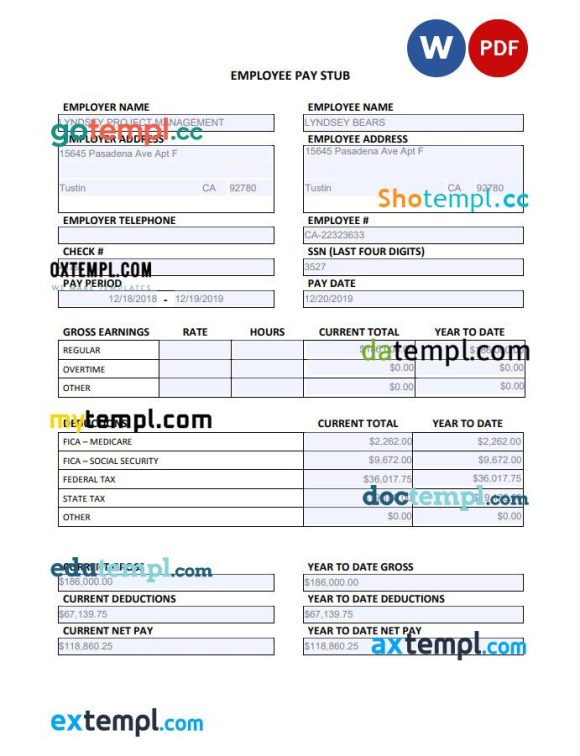 Employee annual pay stub Word and PDF example