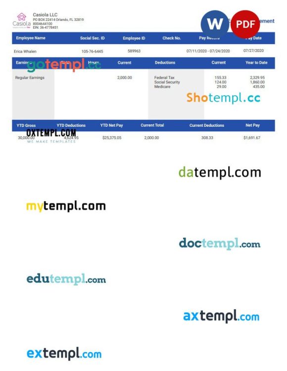 Casiola LLC earnings statement Word and PDF example