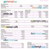 Entertainment company paystub example in Word and PDF formats