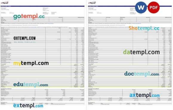Epayroll Motiva company pay stub example in PDF and Word formats