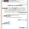 Estonia Medical and Dental Council certificate of employment Word and PDF download template