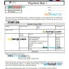 Family Economics & Financial Education paycheck stub Word and PDF example