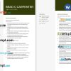 Family Law Attorney Resume example, fully editable