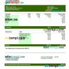 Farming company editable earning statement example in Word and PDF formats