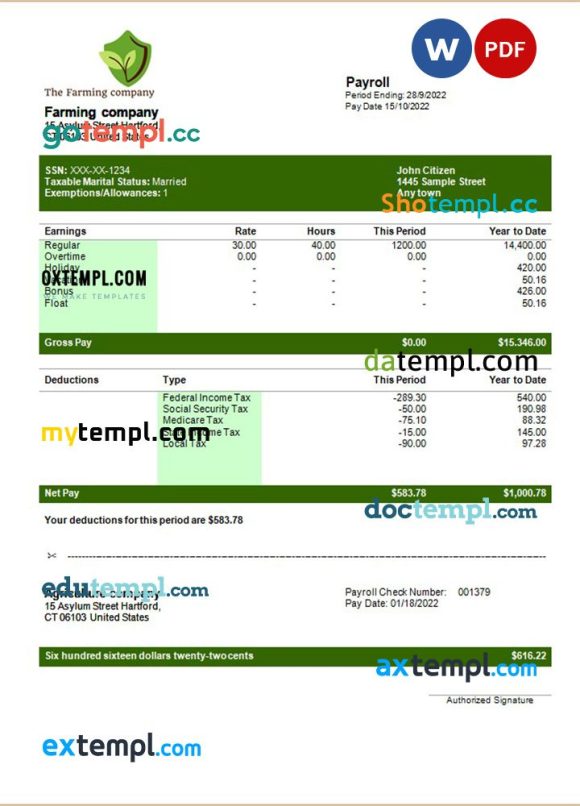 Farming company editable earning statement example in Word and PDF formats