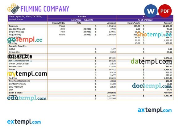 Filming company pay stub example in Word and PDF formats