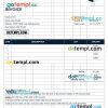 Financial advisor Invoice example in word and pdf format