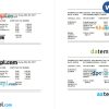 Findingluv specialits company pay stub example in PDF and Word format
