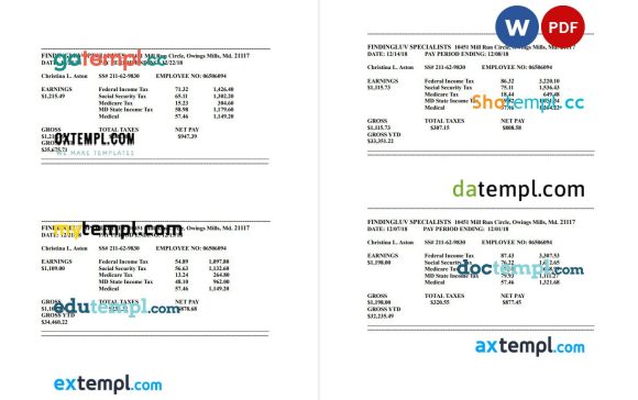 Findingluv specialits company pay stub example in PDF and Word format