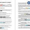 Florida Durable Power of Attorney example, fully editable