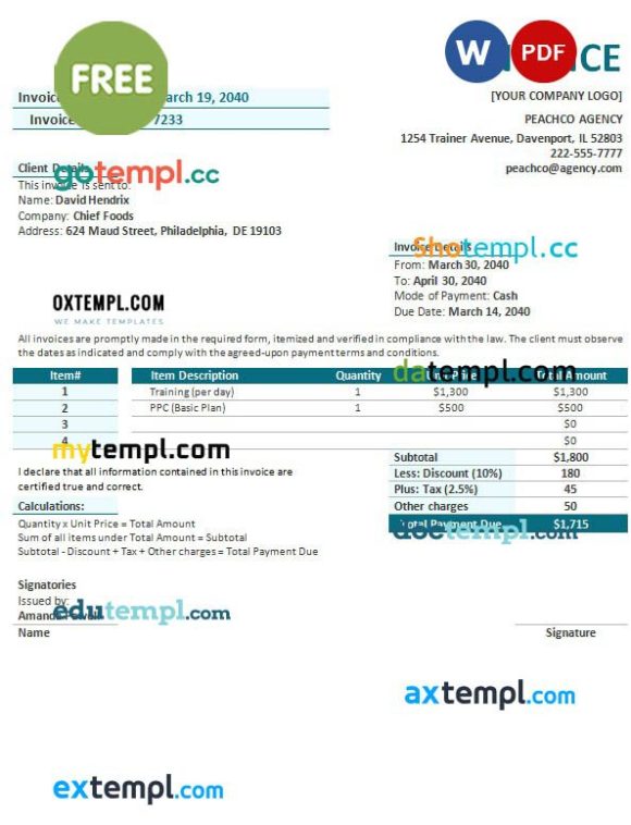 free download Free Agency Invoice example in word and pdf format