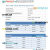 Hourly Wage pay stub Word and PDF example
