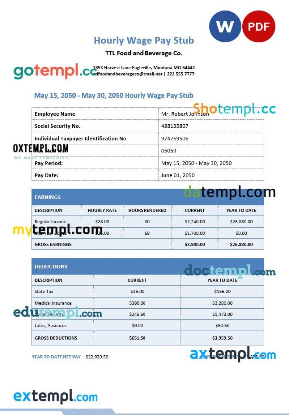 Hourly Wage pay stub Word and PDF example
