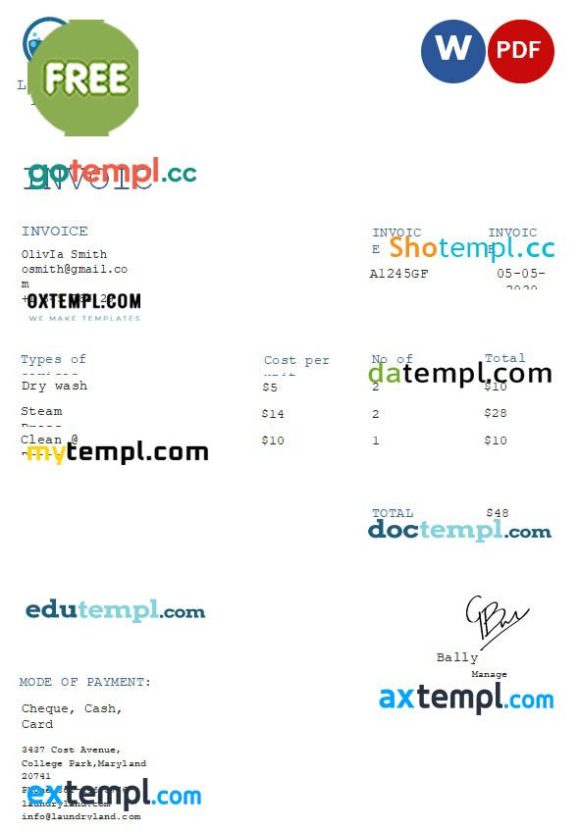 free download Free Laundry Invoice example in word and pdf format