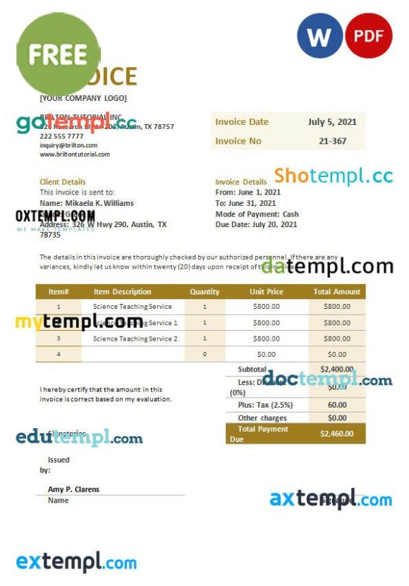 free download Free Teaching Invoice example in word and pdf format