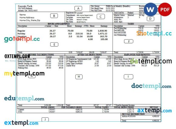 GEORGIA TECH pay stub example Word and PDF format