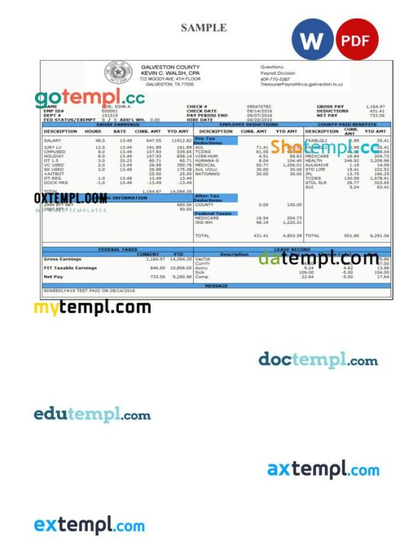 GALVESTON County payroll check pay stub Word and PDF example