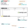 Gaming Company Invoice example in word and pdf format