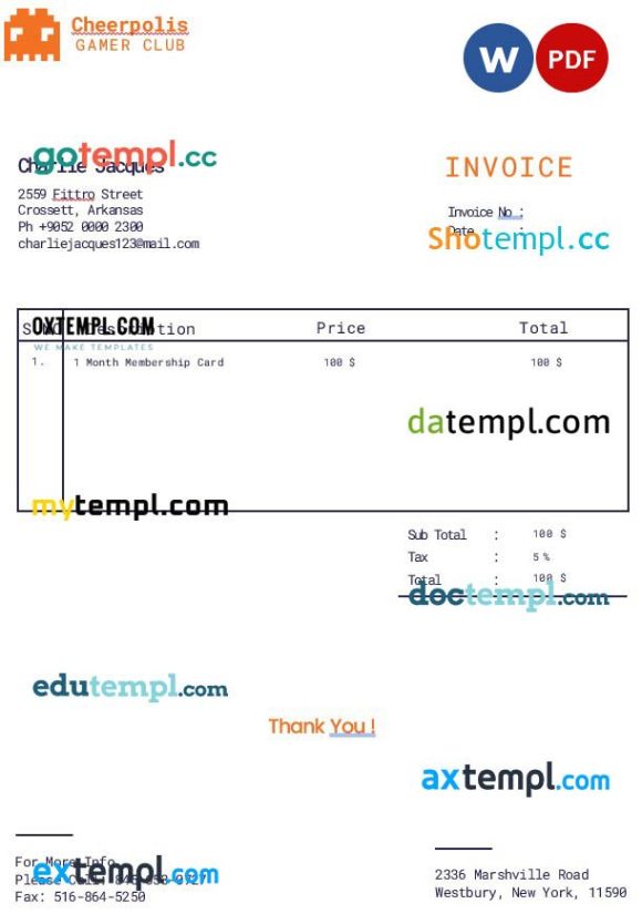 Gaming Company Invoice example in word and pdf format