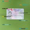 Georgia driving license PSD files, scan look and photographed image, 2 in 1