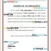 Germany Seca Gmbh certificate of employment Word and PDF download template
