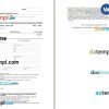 Goibibo airplane e-ticket, Word and PDF download template