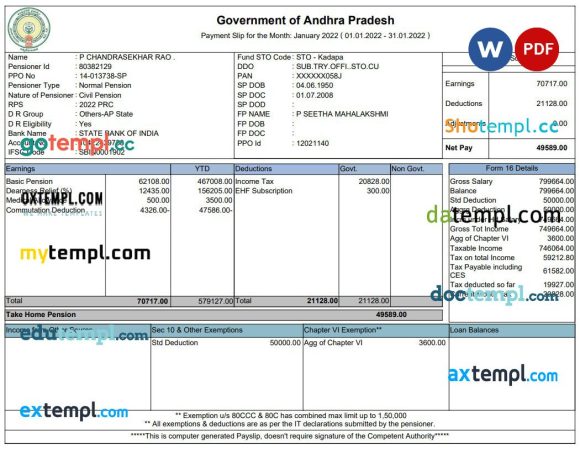 Government of Andhra Pradesh pay stub Word and PDF example