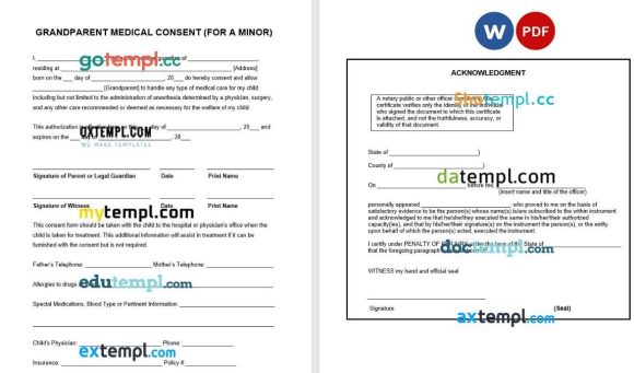 Grandparent Minor Child Medical Consent Form example, fully editable