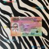 Guinea-Bissau driving license editable PSD files, scan look and photo-realistic look, 2 in 1