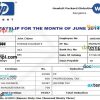 HP HEWLETT Packard GlobalSoft Pvt.Ltd payslip pay stub example in Word and PDF formats
