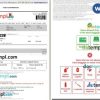 HappyFares + SpiceJet airplane e-ticket, Word and PDF download template, 2 pages