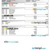 Home Credit pay stub Word and PDF example