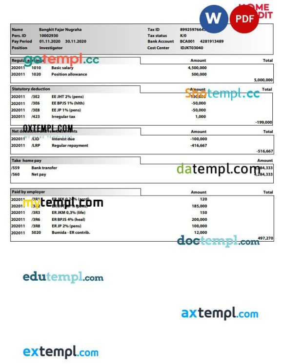 Home Credit pay stub Word and PDF example
