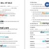 Horse Bill of Sale Form Word example, completely editable
