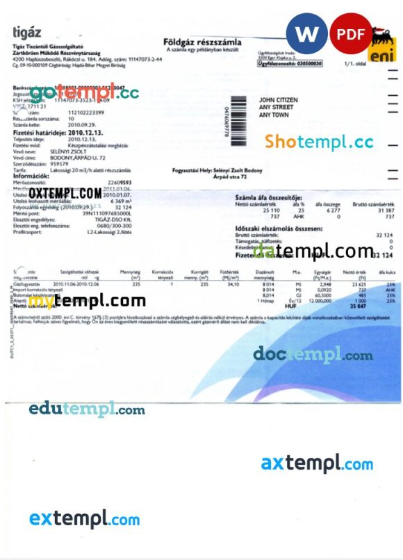 Hungary Tigaz utility bill Word and PDF template
